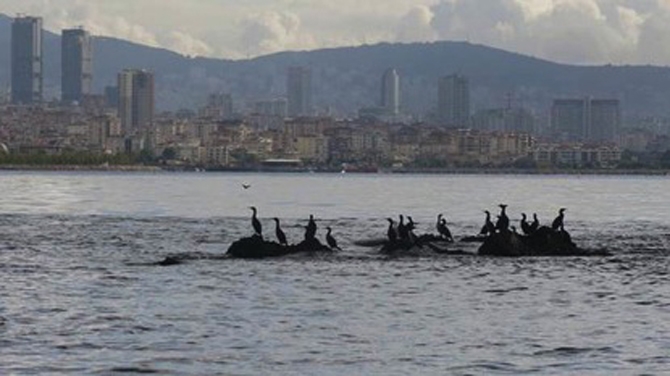 Bilinmeyen yönleriyle İstanbul Adaları galerisi resim 26