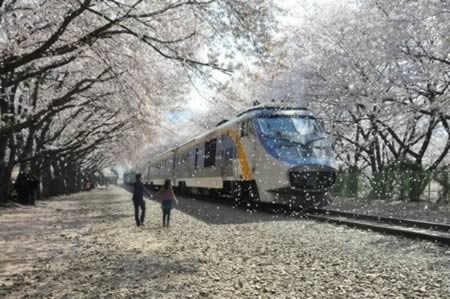 Dünyanın En İlginç Demiryolları galerisi resim 7