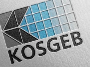 KOSGEB 40 KOBİ uzman yardımcısı alacak