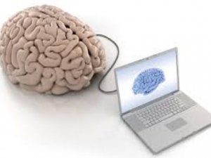 İnsan beyni internete bağlandı!