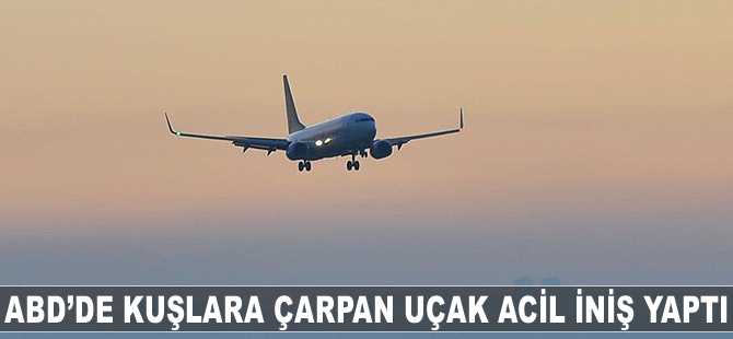 ABD'de kuşlara çarpan uçak acil iniş yaptı
