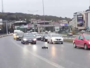 Trafiğe bırakılan uzaktan kumandalı araba sürücüleri zor durumda bıraktı