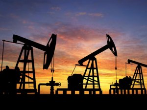 2 şirket petrol arama ruhsatı talebinde bulundu