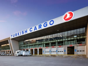 Turkish Cargo nesli tükenmekte olan hayvanları yuvalarına taşıyor