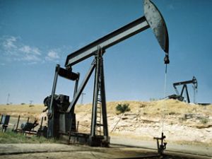 "Petrol fiyatı 110 dolara çıkabilir" uyarısı