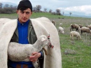 Çobana "sigorta primi desteği" önerisi
