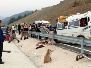 Kahramanmaraş'ta minibüs kamyona çarptı: 8 ölü