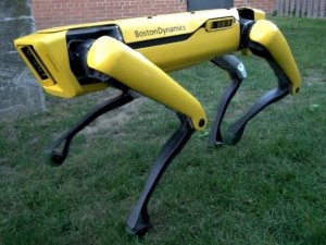 Boston Dynamics'in robotu kapıları açıyor!