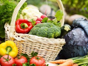 Tarım ve gıdada ihracata üç engel