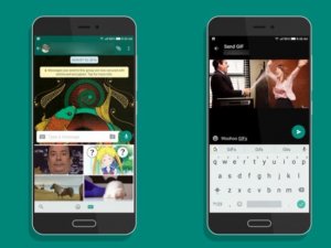WhatsApp'tan Android Oreo desteği!
