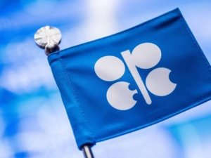 OPEC'in petrol kesintisi kararında uyum arttı