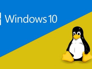 Microsoft kendi Linux sürümünü dağıtacak!