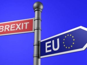 Brexit yanlısı vekiller, gümrük ortaklığına karşı