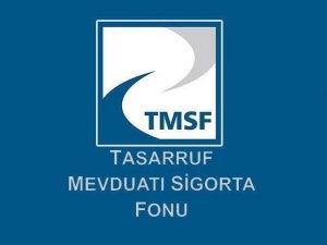 TMSF, Dumankaya şirketlerinin tasfiyesine karar verdi