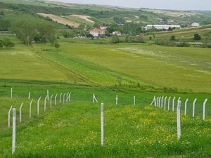 15 bin konut için ilk adım atıldı