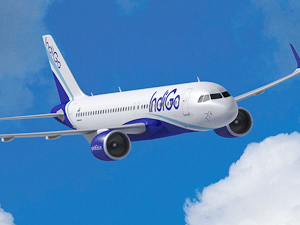 Indigo, Türkiye'de pilot arıyor