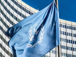 BM Özel Raportörü Alston: IMF'nin beyni büyük ama vicdanı ufacık