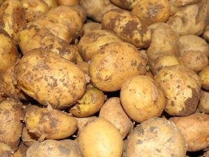 Rekabet Kurumu'ndan patates ve soğan fiyatlarına takip