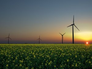 Almanya yenilenebilir enerji üretimini artırdı