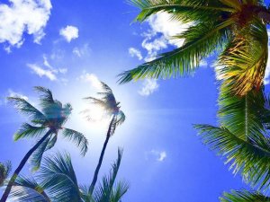 Hawaii 'güneş kremi' düzenlemesiyle ABD'de bir ilke imza attı