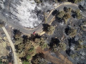 Antalya'daki orman yangınında kül olan 60 hektarlık alan havadan görüntülendi﻿﻿