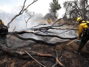 California'daki yangınlarda ölü sayısı artıyor