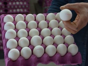 Markette en çok yumurta zamlandı