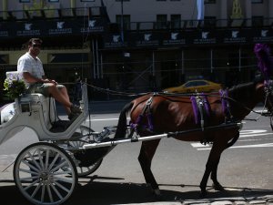 New York'ta faytonculuk geleneğini Türkler sürdürüyor