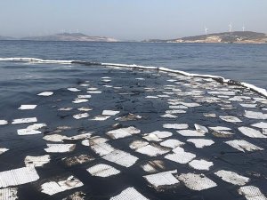 Foça'daki akaryakıt sızıntısına ilişkin soruşturma sürüyor