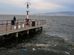 'Analiz değerleri körfezin kirli olduğunu gösteriyor'