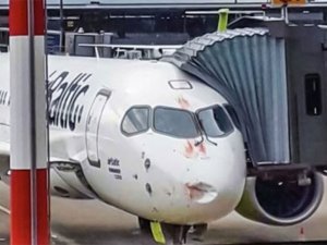 Uçağa kuş çarptı, ciddi hasar oluştu