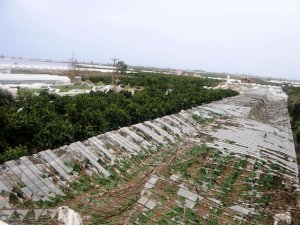 "Afetzedelerin vergi borçları ertelensin"