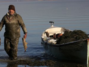 Marmara Gölü Balıkçıların yüzünü güldürdü!