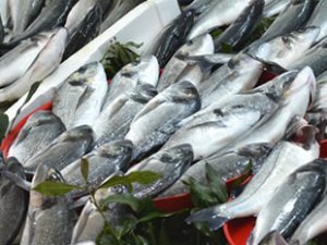 Ordu'da tezgahları kültür balıkları süslüyor