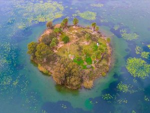 Kuş cenneti Gölbaşı turizme kazandırılacak