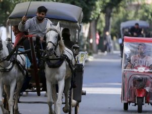 Adalar'daki ulaşım sorunları masaya yatırılacak