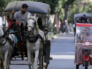 Adalar Belediye Başkanı Gül: Faytonları kaldırmak çok zor