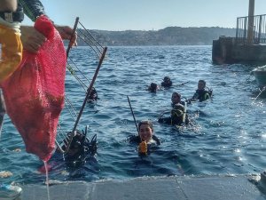 Gönüllü dalgıçlar Ortaköy sahilinde su altı temizliği yaptı