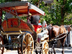 Adalar'da faytonlara at koşulması 3 ay süreyle durduruldu