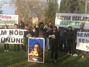 Hayvanseverlerin fayton protestosu İBB karşısındaki parkta sürüyor