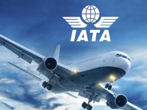 IATA, havayolları 2020 kar beklentisini açıkladı