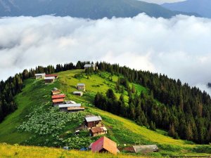 Doğu Karadeniz için 20 milyon liralık destek paketi