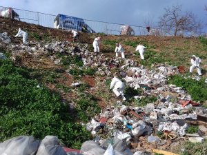 İBB Adalar'ı tertemiz yaptı