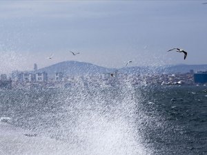 Olumsuz hava koşulları nedeniyle İDO ve BUDO'nun bazı seferleri iptal edildi