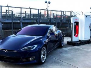 Tesla, fabrika inşası için planlanan alandaki ağaçları kesmeye başladı