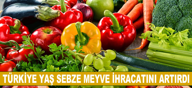 Türkiye yaş sebze meyve ihracatını artırdı