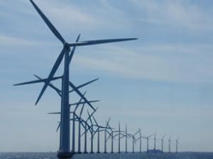 Rüzgargülü, 2,5 yıl sonra elektrik üretebilecek