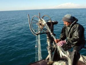 Teknesinin halatı boynuna dolanan balıkçı öldü