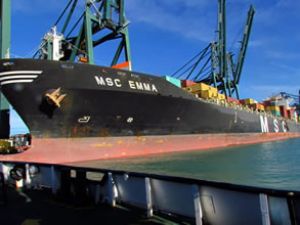 Box Ships, MSC Emma gemisini satın aldı