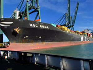 Box Ships, MSC Emma gemisini satın aldı